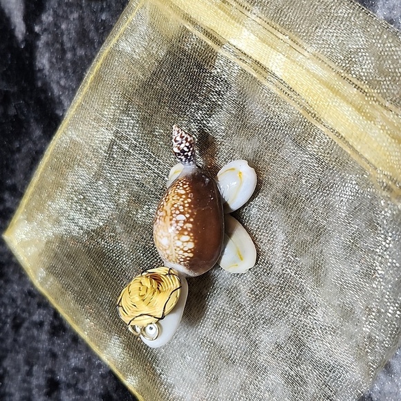 MINI COWRIE SHELLS TURTLE DECORATION DISPLAY WEALTH & FERTILITY - Picture 3 of 11